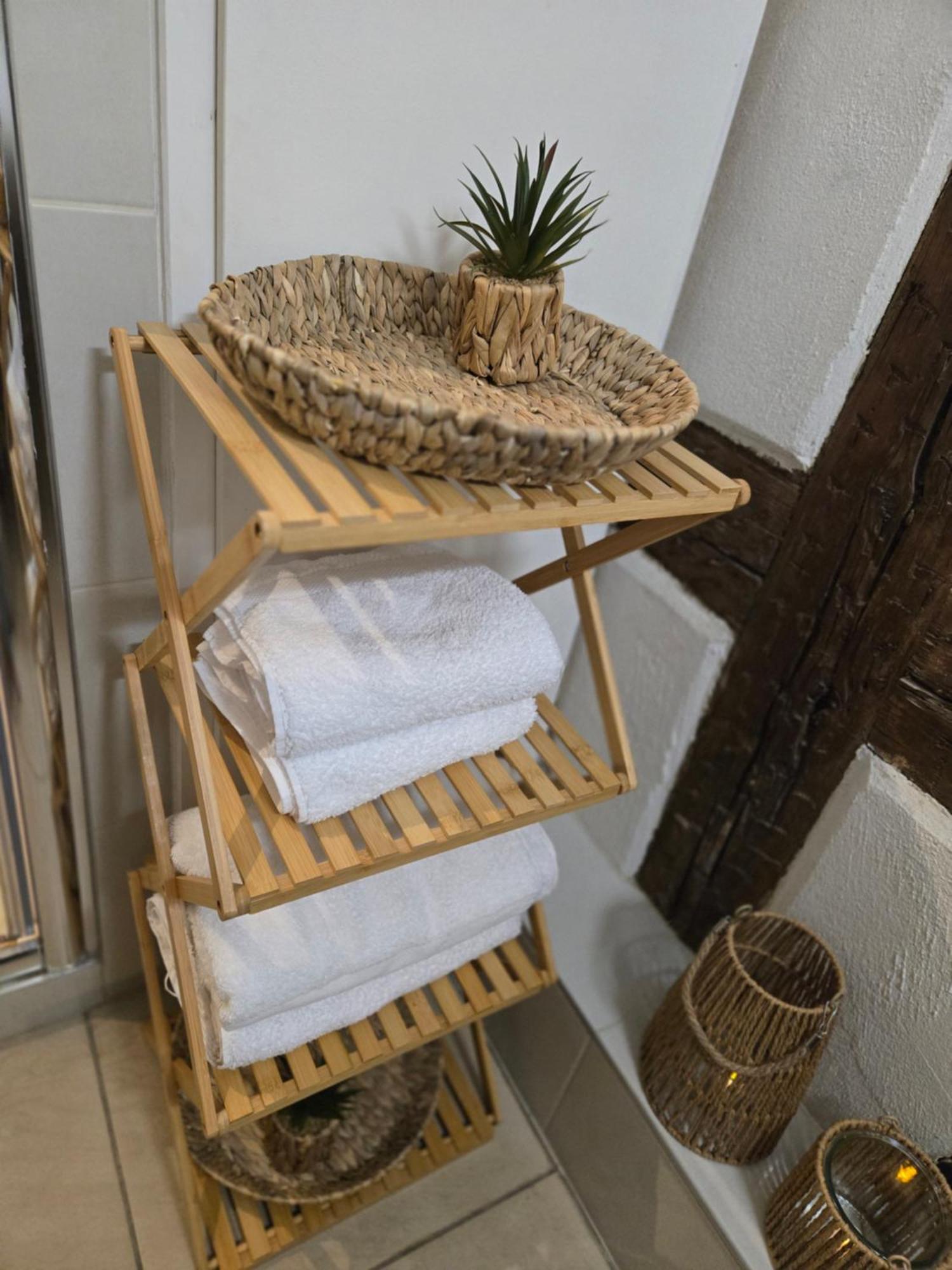 Appartement De Standing En Hyper Centre Strasbourg